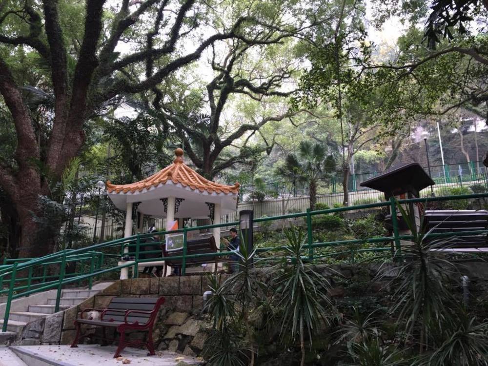 【香港】ビクトリアピーク制圧の写真6