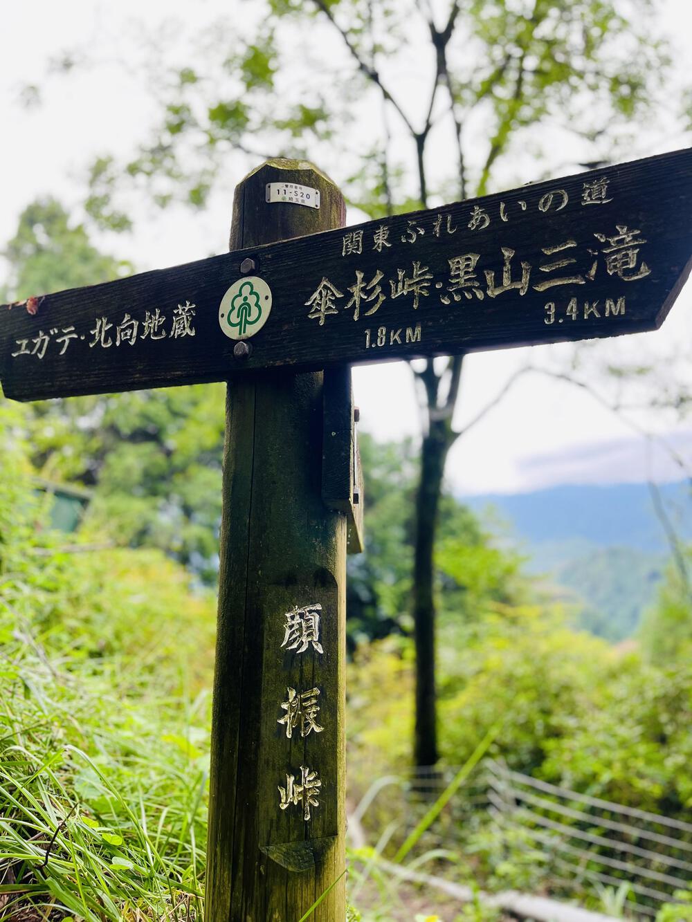 大人の遠足⛰️奥武蔵 巾着田の曼珠沙華  顔振峠〜ユガテ〜北向地蔵〜日和田山〜巾着田(曼珠沙華)〜宮沢湖の写真4