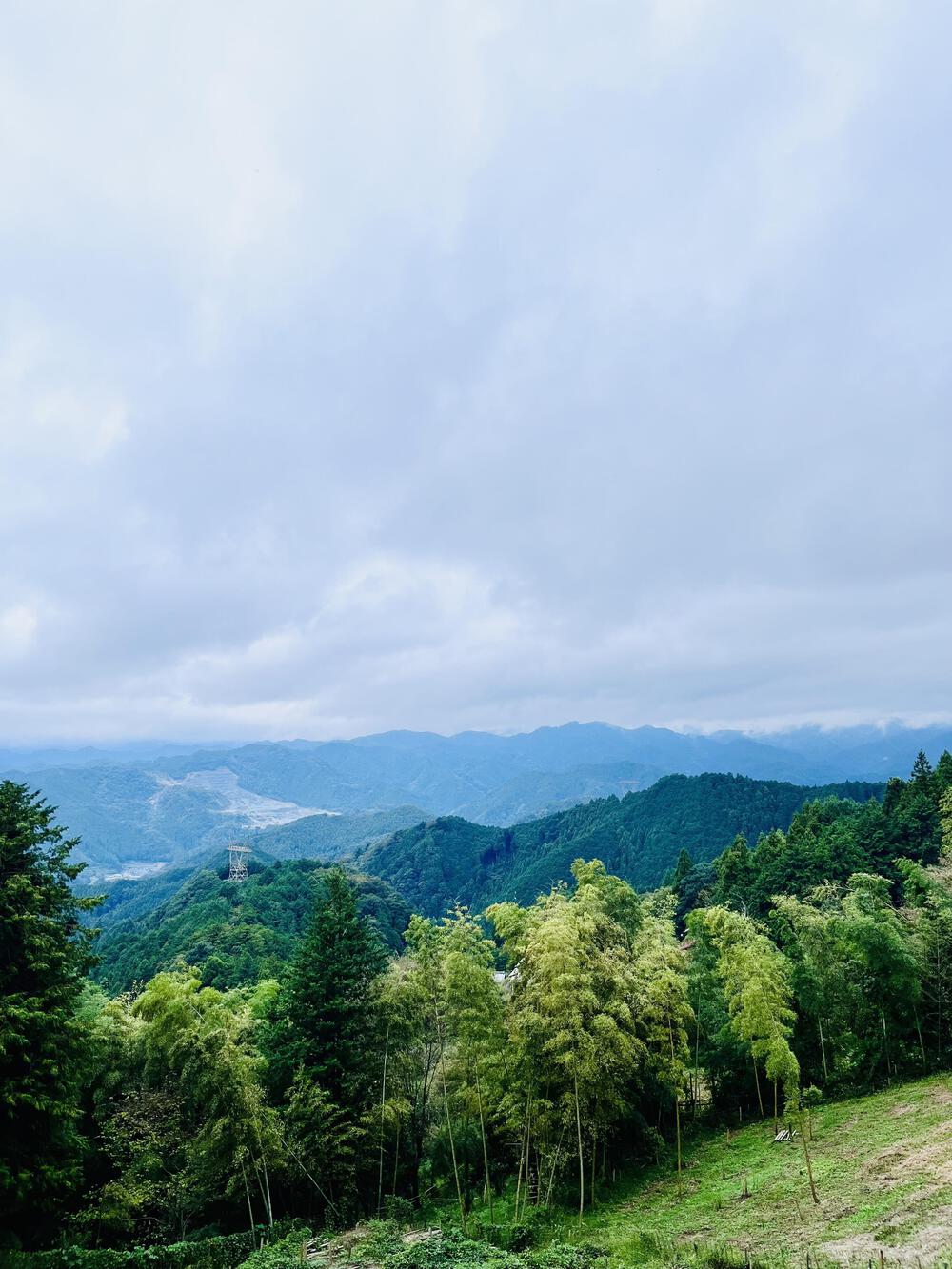 大人の遠足⛰️奥武蔵 巾着田の曼珠沙華  顔振峠〜ユガテ〜北向地蔵〜日和田山〜巾着田(曼珠沙華)〜宮沢湖の写真5
