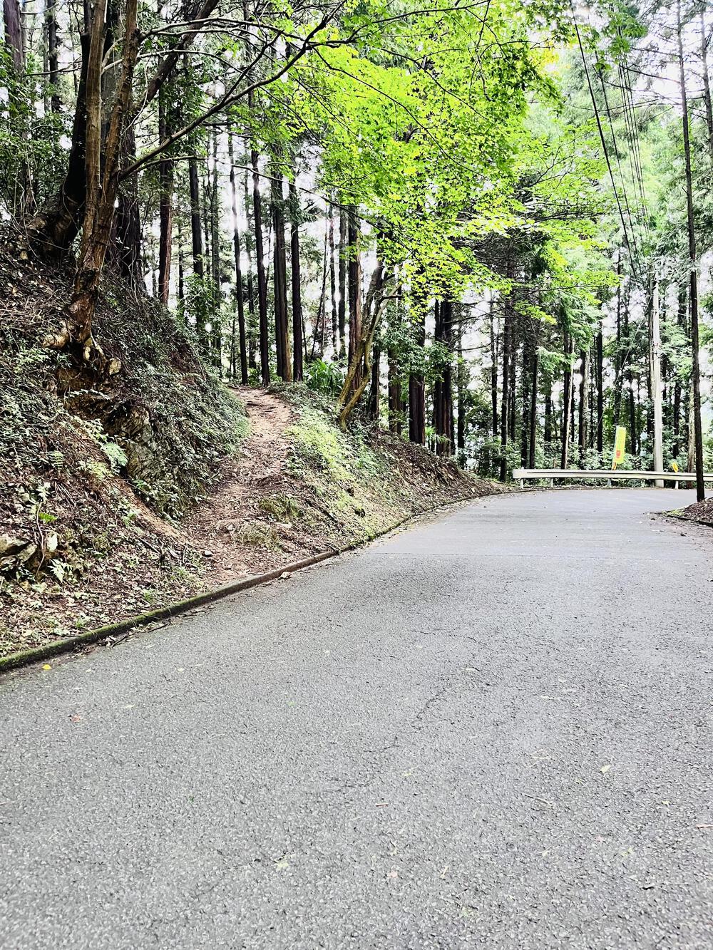 大人の遠足⛰️奥武蔵 巾着田の曼珠沙華  顔振峠〜ユガテ〜北向地蔵〜日和田山〜巾着田(曼珠沙華)〜宮沢湖の写真6