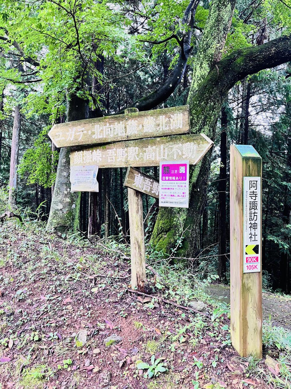 大人の遠足⛰️奥武蔵 巾着田の曼珠沙華  顔振峠〜ユガテ〜北向地蔵〜日和田山〜巾着田(曼珠沙華)〜宮沢湖の写真7