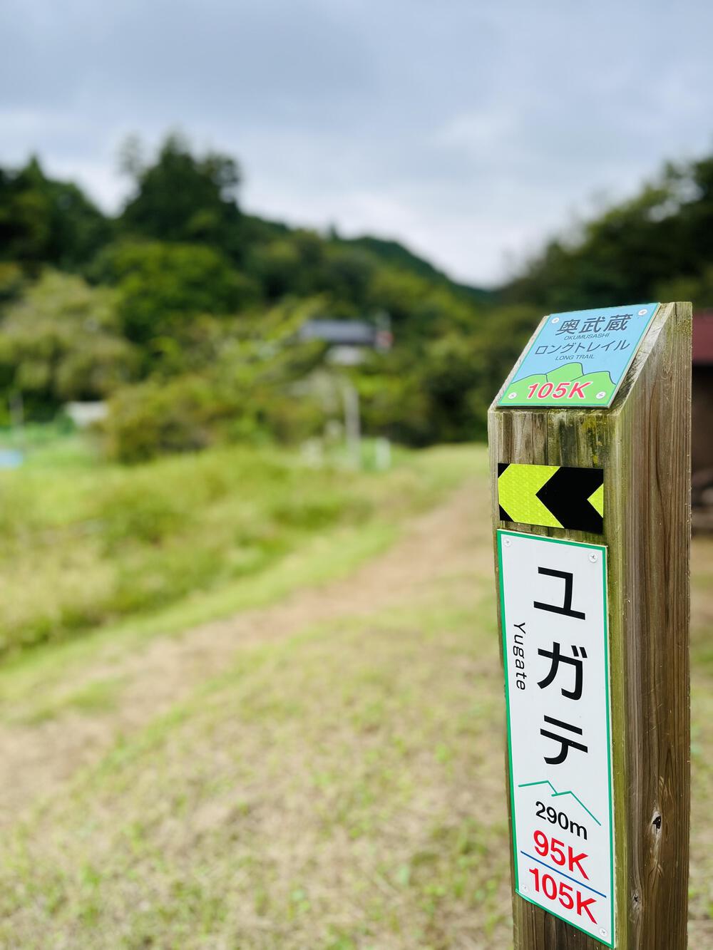 大人の遠足⛰️奥武蔵 巾着田の曼珠沙華  顔振峠〜ユガテ〜北向地蔵〜日和田山〜巾着田(曼珠沙華)〜宮沢湖の写真8