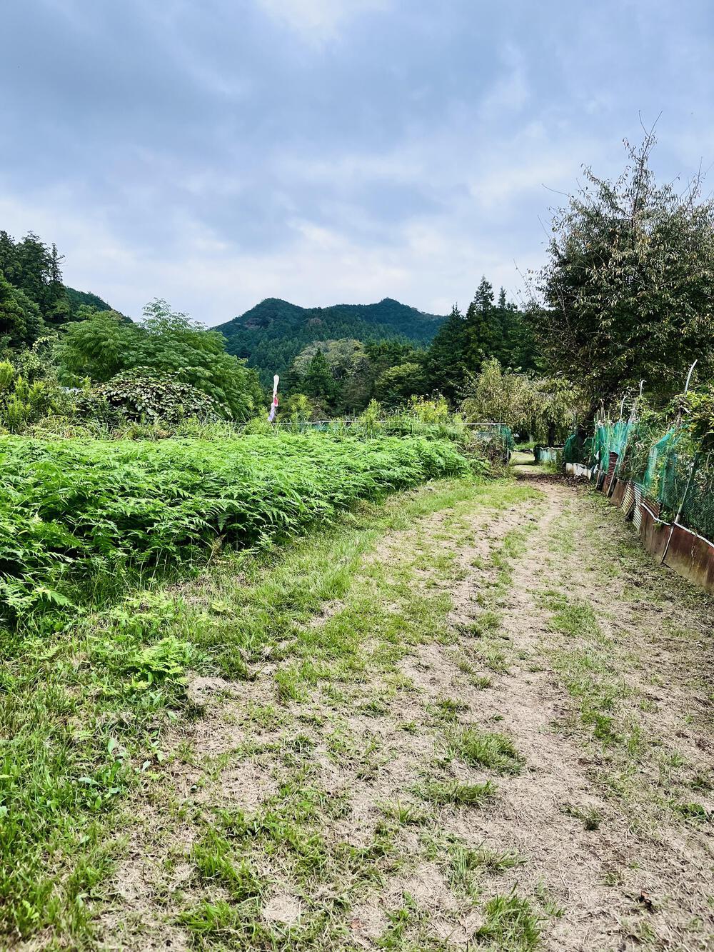 大人の遠足⛰️奥武蔵 巾着田の曼珠沙華  顔振峠〜ユガテ〜北向地蔵〜日和田山〜巾着田(曼珠沙華)〜宮沢湖の写真9