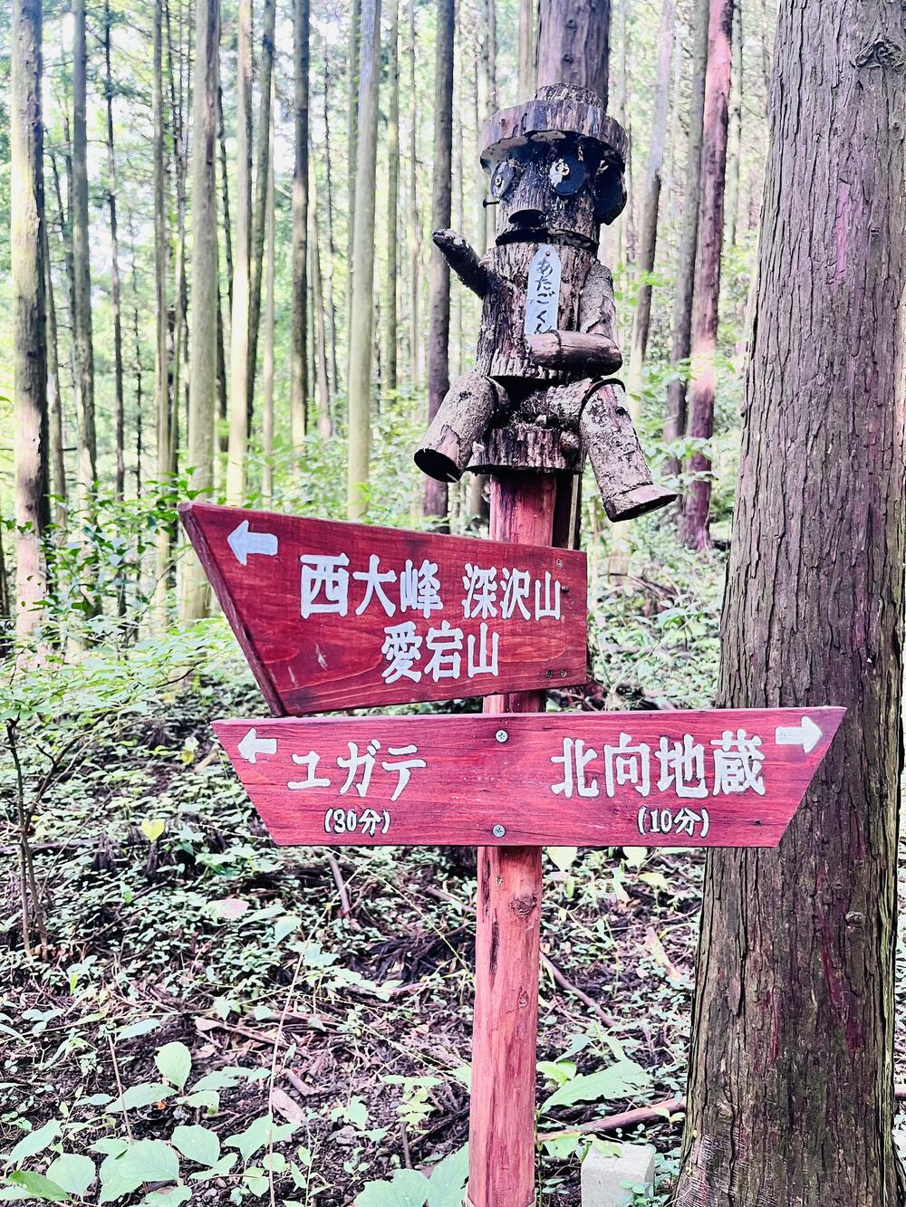 大人の遠足⛰️奥武蔵 巾着田の曼珠沙華  顔振峠〜ユガテ〜北向地蔵〜日和田山〜巾着田(曼珠沙華)〜宮沢湖の写真10