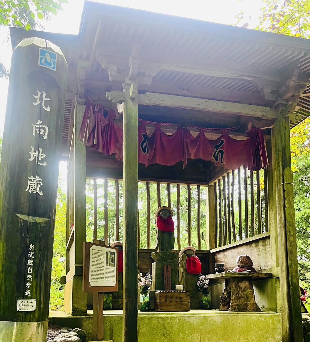 大人の遠足⛰️奥武蔵 巾着田の曼珠沙華  顔振峠〜ユガテ〜北向地蔵〜日和田山〜巾着田(曼珠沙華)〜宮沢湖の写真11