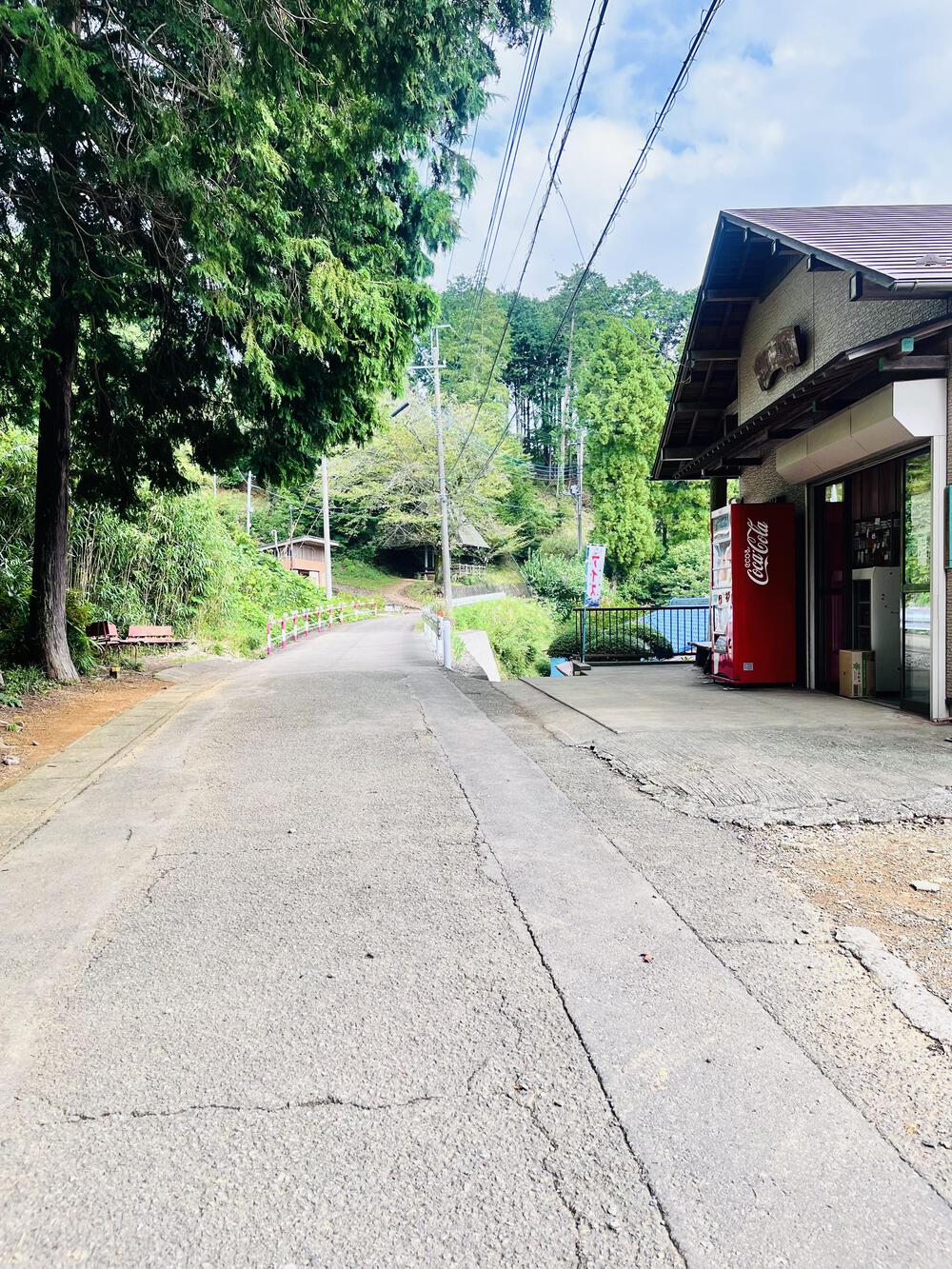 大人の遠足⛰️奥武蔵 巾着田の曼珠沙華  顔振峠〜ユガテ〜北向地蔵〜日和田山〜巾着田(曼珠沙華)〜宮沢湖の写真12