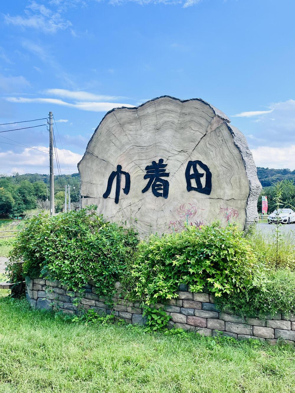 大人の遠足⛰️奥武蔵 巾着田の曼珠沙華  顔振峠〜ユガテ〜北向地蔵〜日和田山〜巾着田(曼珠沙華)〜宮沢湖の写真14