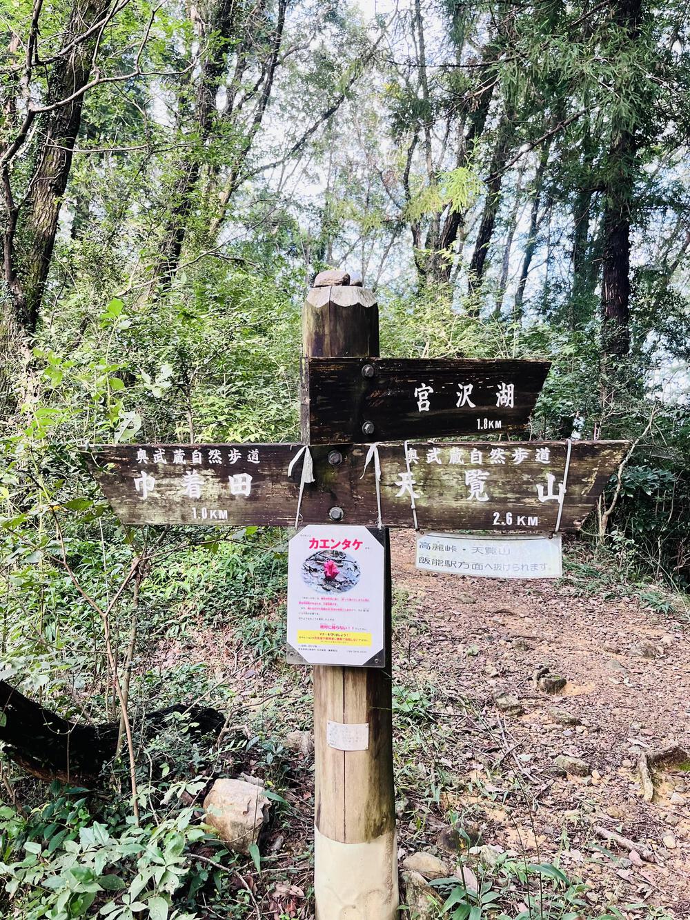 大人の遠足⛰️奥武蔵 巾着田の曼珠沙華  顔振峠〜ユガテ〜北向地蔵〜日和田山〜巾着田(曼珠沙華)〜宮沢湖の写真17
