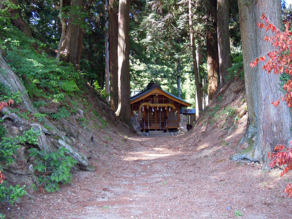棚田百選 よこね田んぼ & 御柱祭 野池神社の写真3