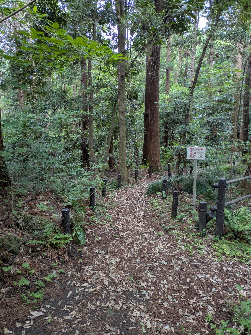 横浜瀬谷　上川井・瀬谷市民の森周回コースの写真3