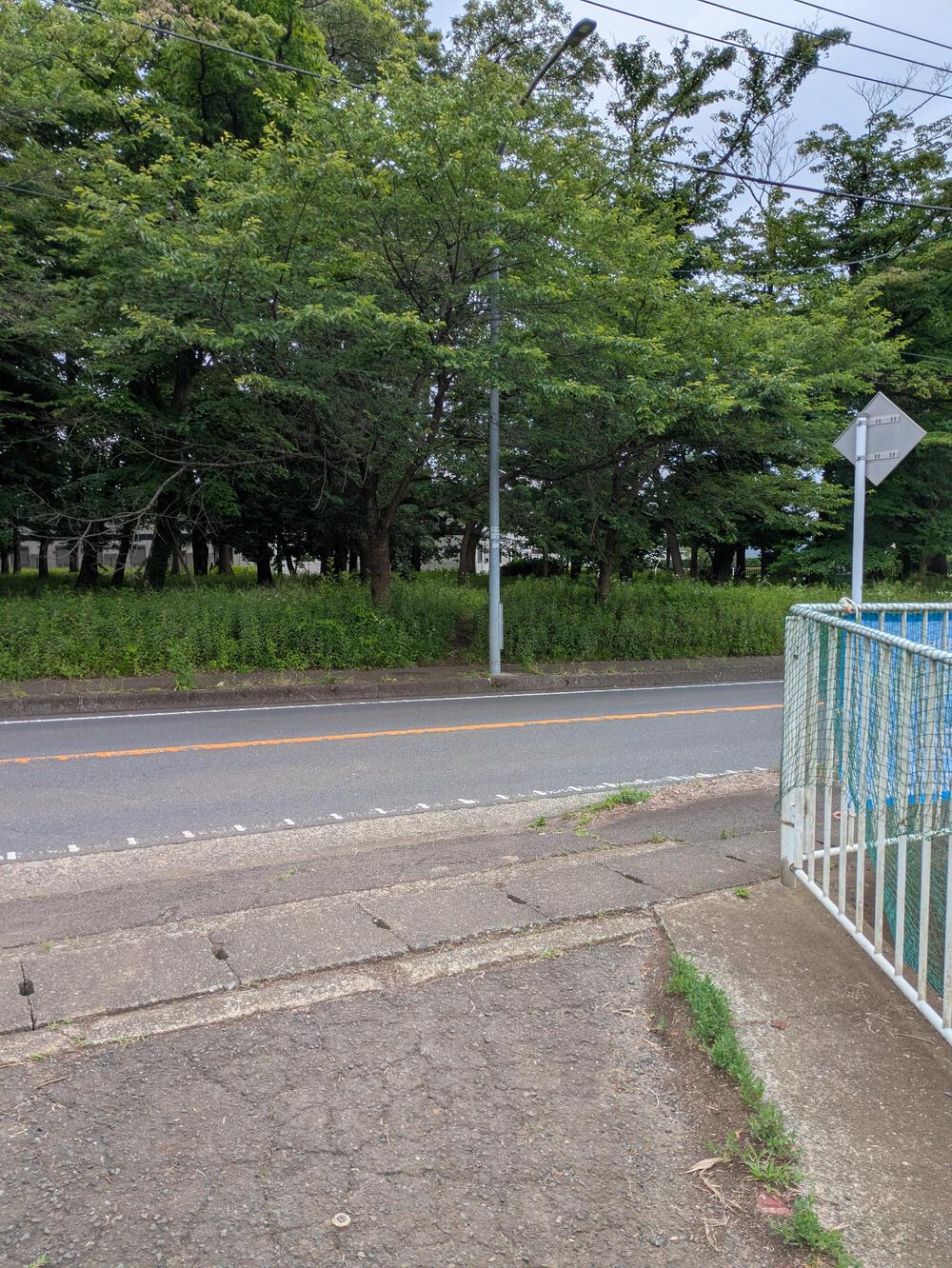 横浜瀬谷　上川井・瀬谷市民の森周回コースの写真11