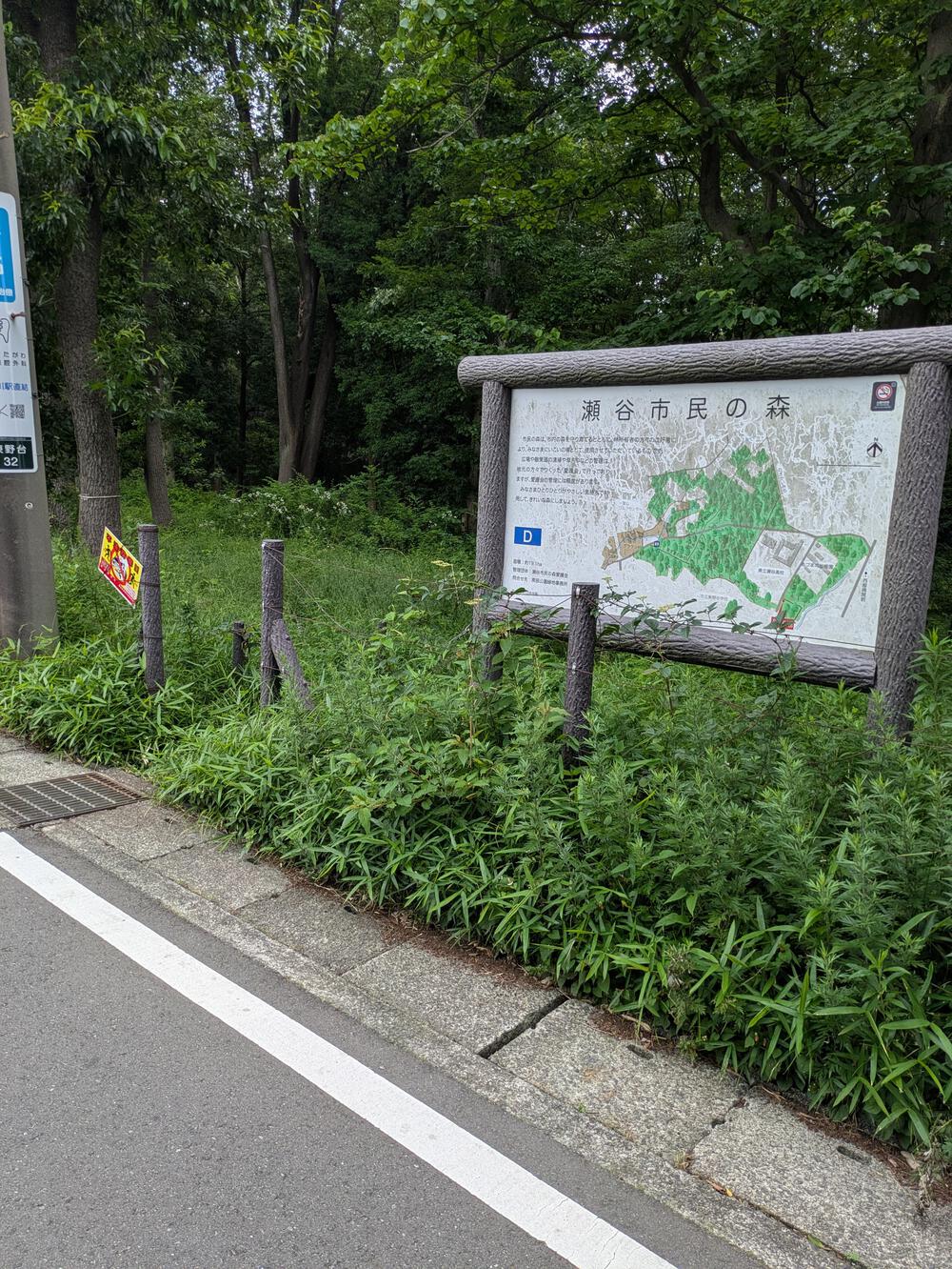 横浜瀬谷　上川井・瀬谷市民の森周回コースの写真16