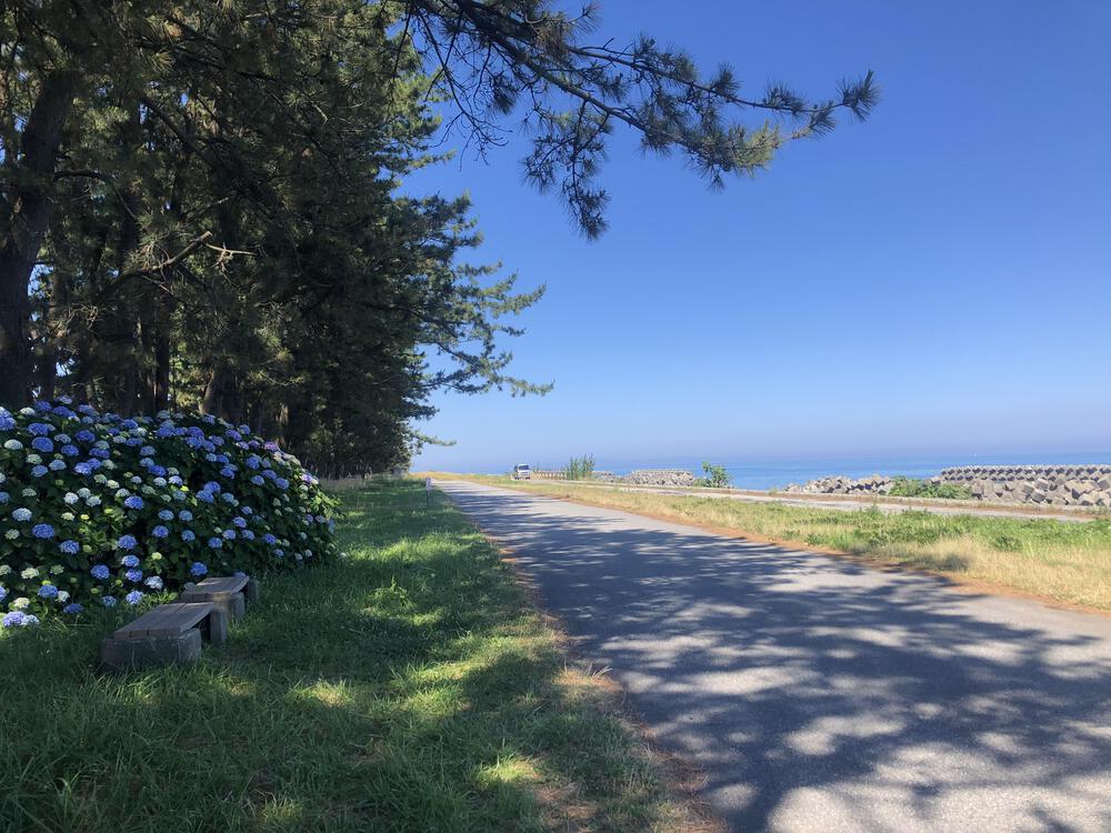 富山の海岸線制覇その3 入善町前編13.8kmの写真6