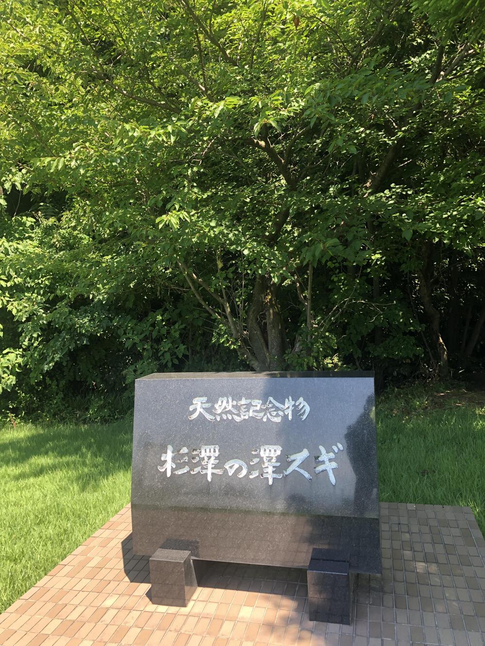 富山の海岸線制覇その3 入善町前編13.8kmの写真8