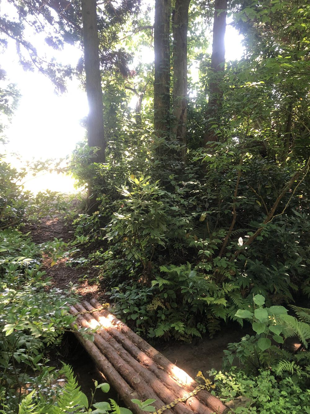 富山の海岸線制覇その3 入善町前編13.8kmの写真9