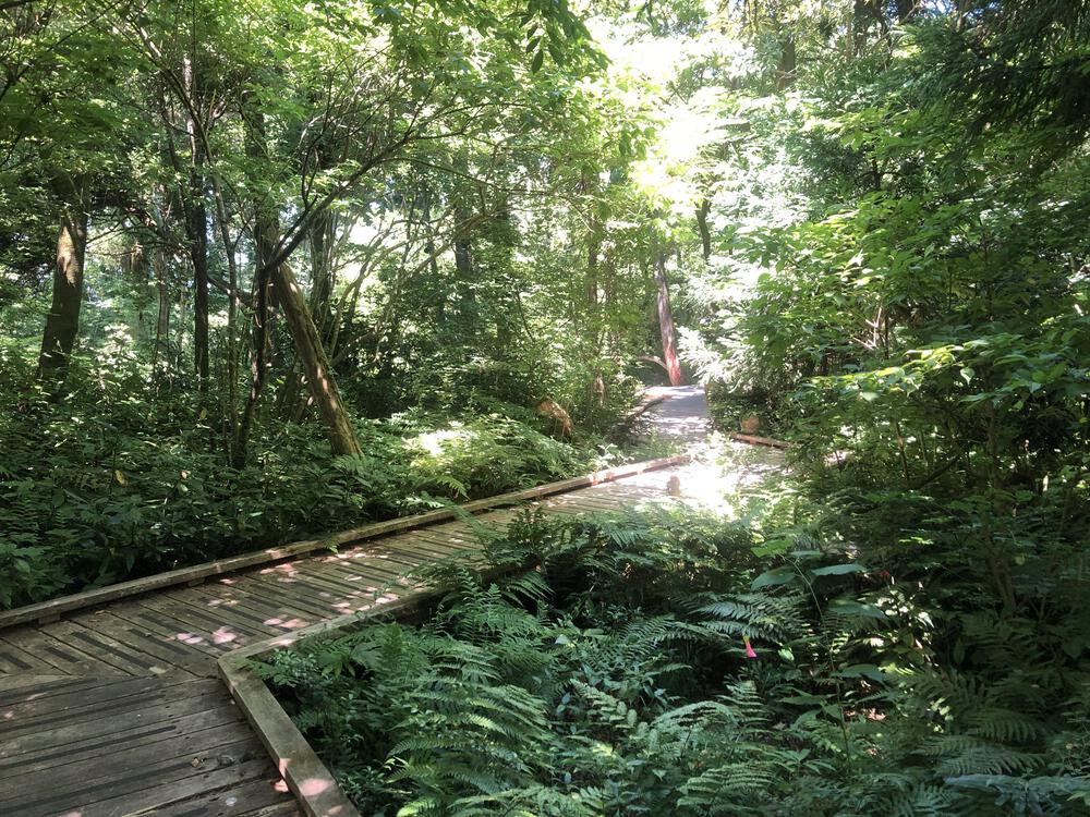 富山の海岸線制覇その3 入善町前編13.8kmの写真10