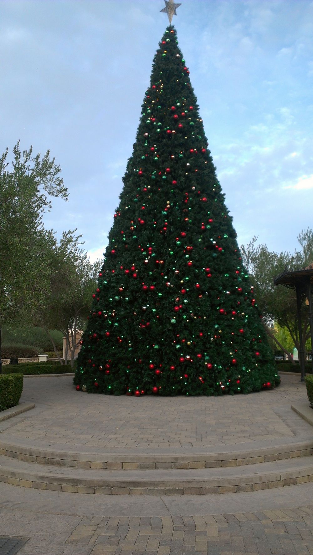 砂漠の中の高級リゾート・ラスベガス湖の写真5