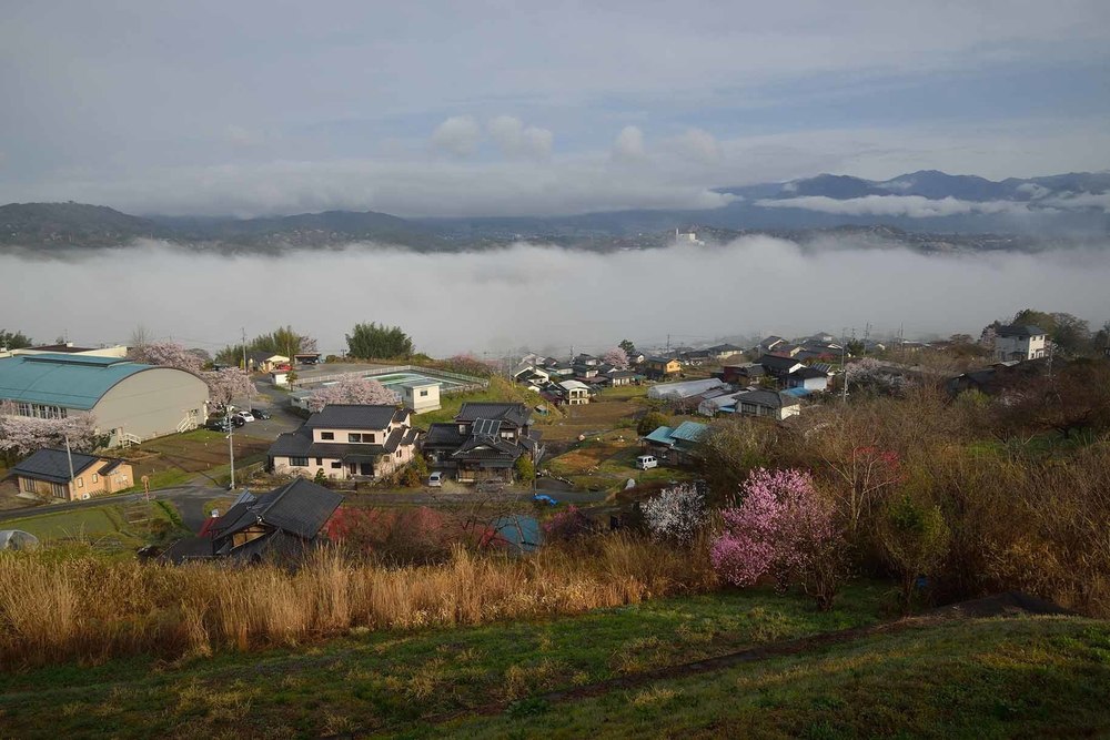 天龍峡さくら街道〜南信州の眺望を楽しむの写真3
