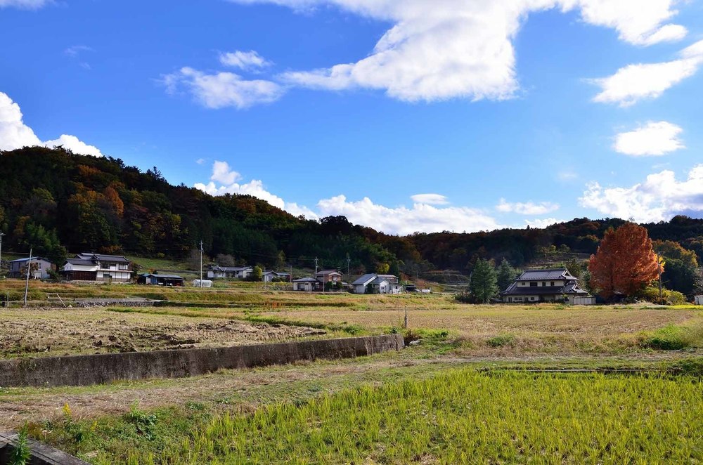 天龍峡さくら街道〜南信州の眺望を楽しむの写真5