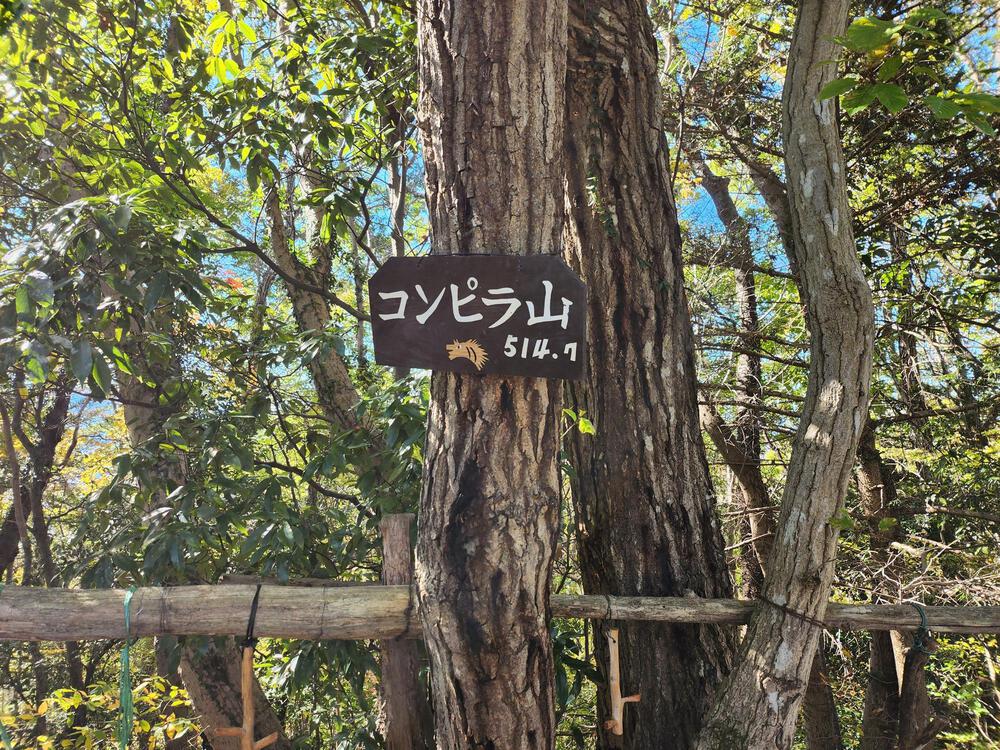 高尾山を含む10山制覇のトレイルランを楽しめるオススメのコースの写真6