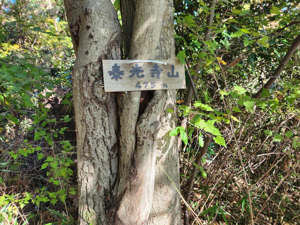 高尾山を含む10山制覇のトレイルランを楽しめるオススメのコースの写真9