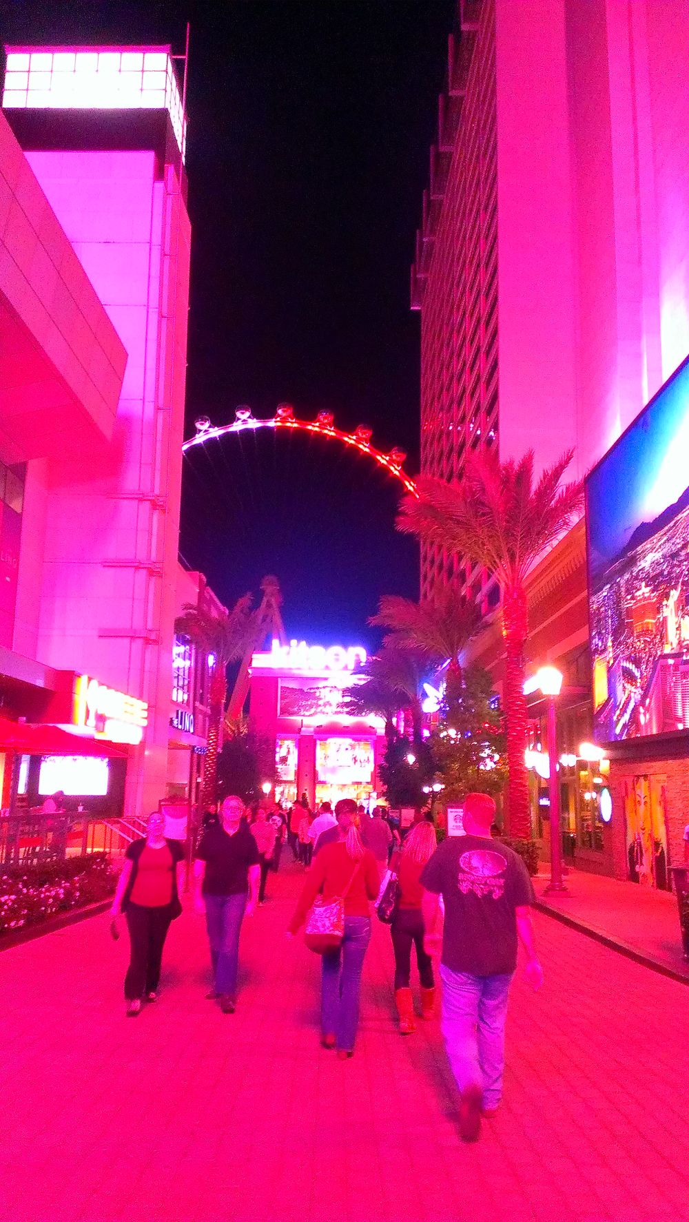 世界最大の観覧車・ハイローラーを眺める。の写真4