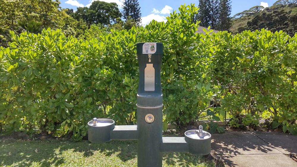 マキキ・バレー・ループ・トレイル＋タンタラスの丘の写真4