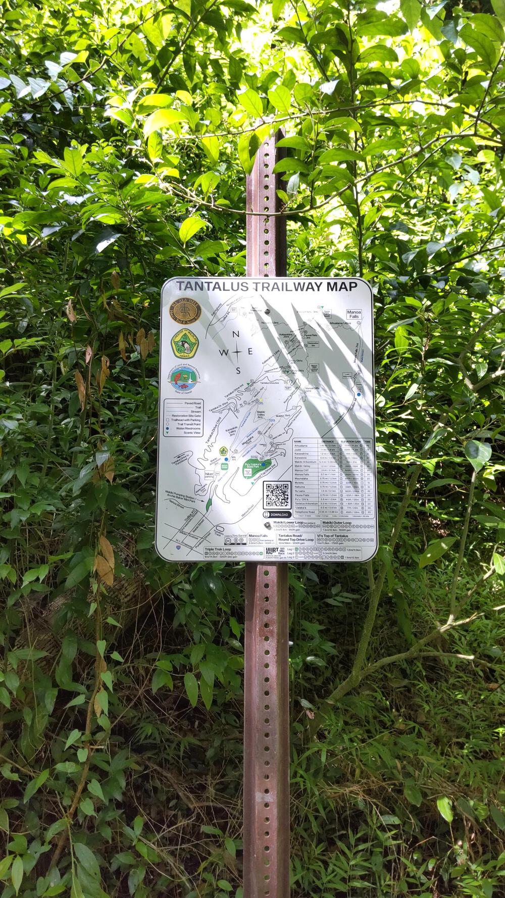 マキキ・バレー・ループ・トレイル＋タンタラスの丘の写真8