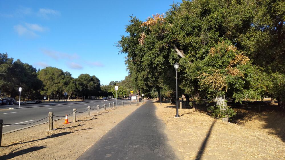 Stanford Universityの写真4