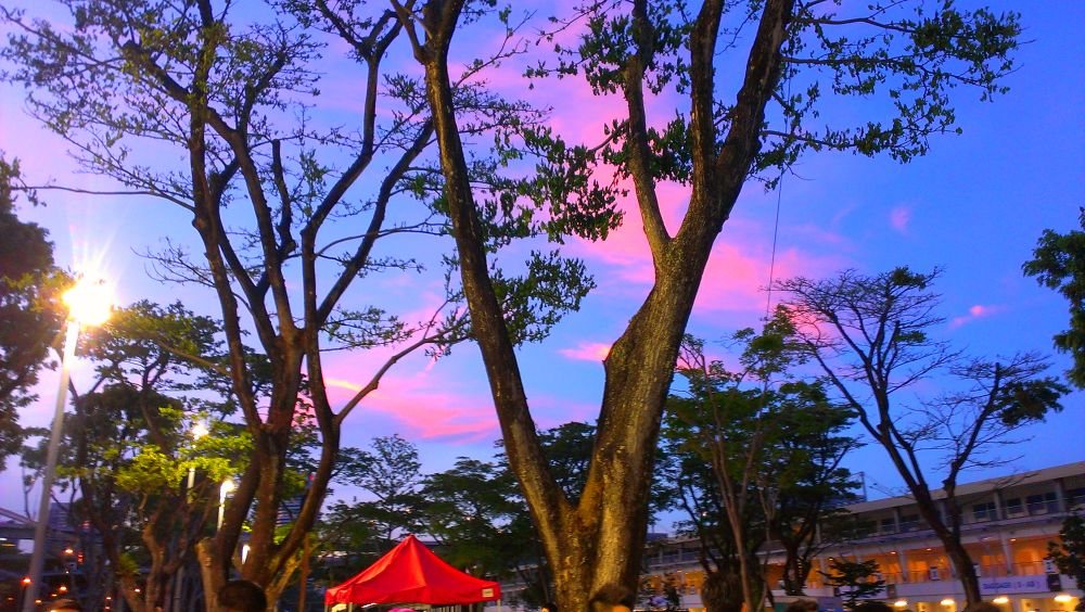 F1シンガポールグランプリのコースを走るの写真6