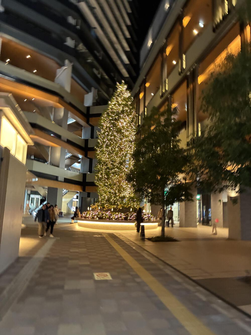 北区イルミネーション満喫10kmの写真4