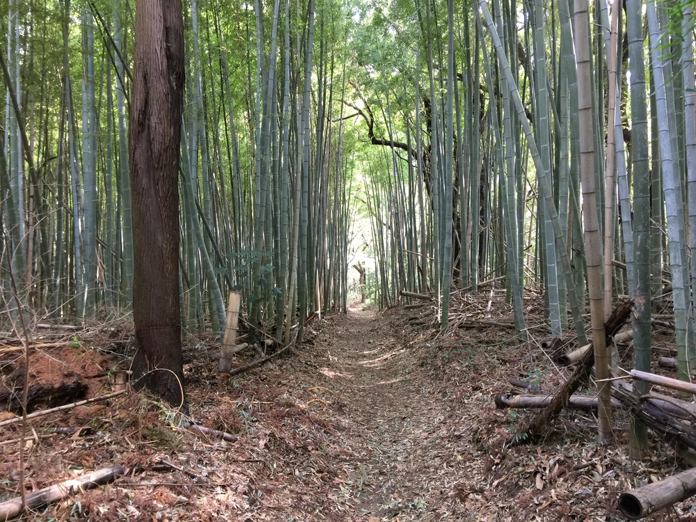 街中トレイル　袖ケ浦のかまくら街道の写真3