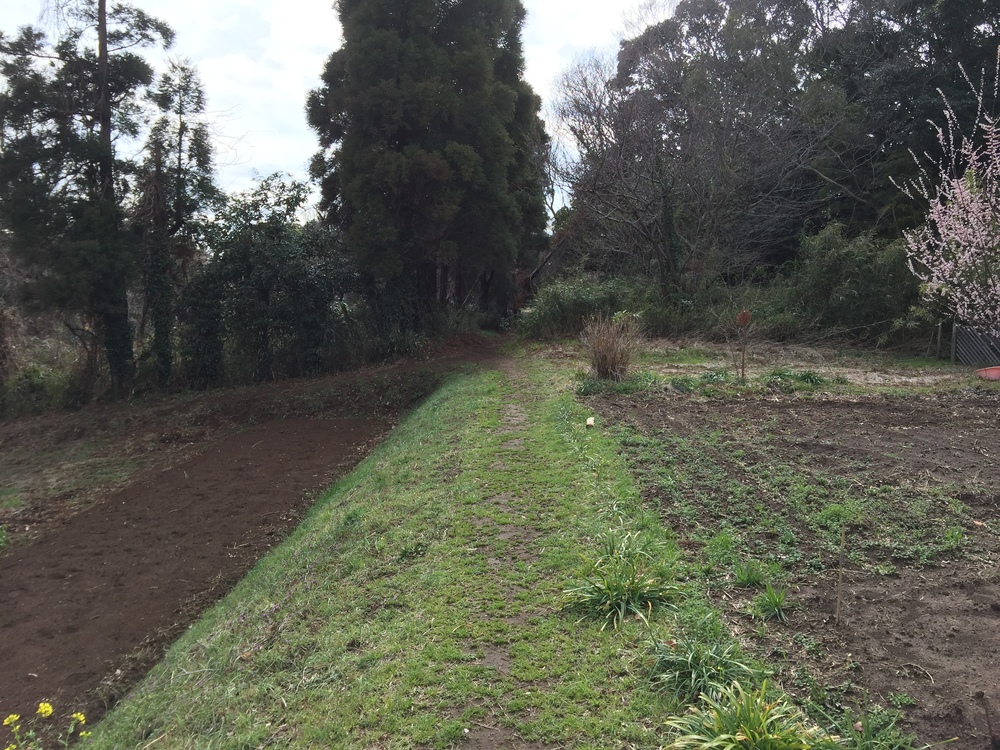 街中トレイル　袖ケ浦のかまくら街道の写真4