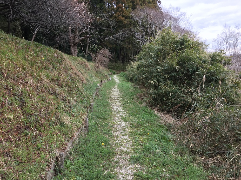 街中トレイル　袖ケ浦のかまくら街道の写真9