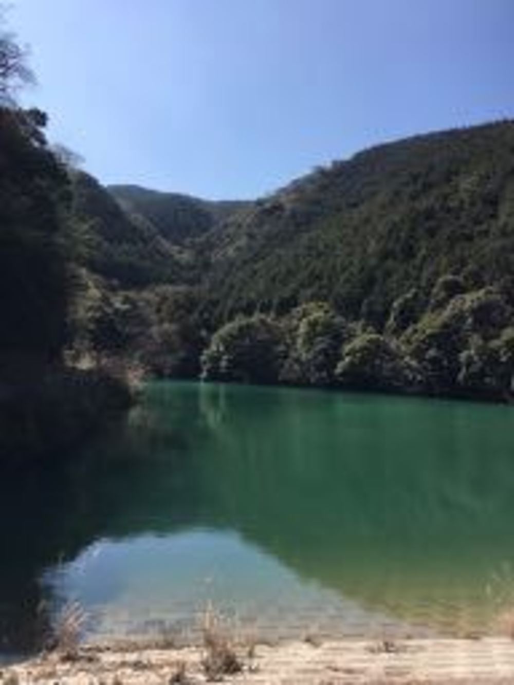 飯森山〜草添山トレラン♫の写真4