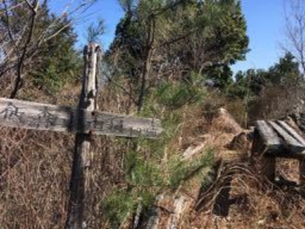 飯森山〜草添山トレラン♫の写真6