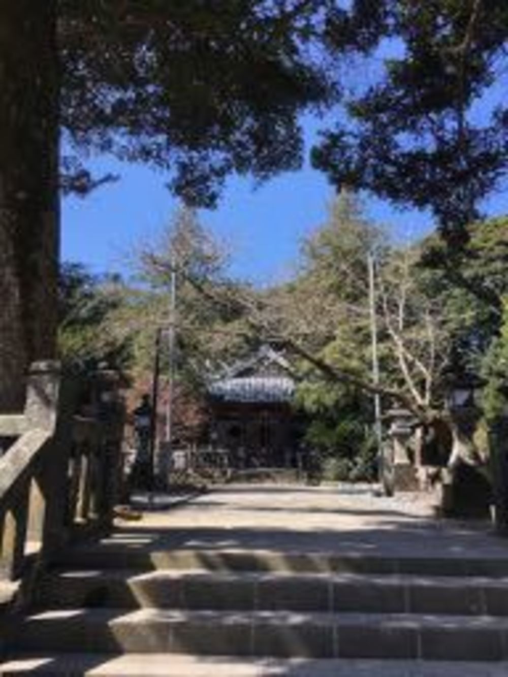 飯森山〜草添山トレラン♫の写真9