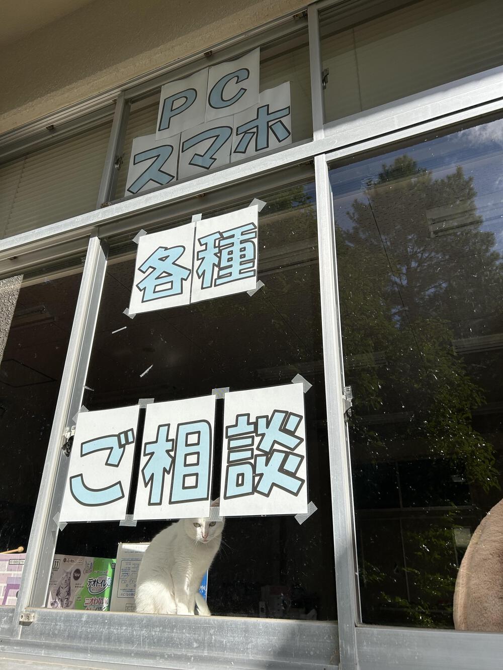 学校巡りin立山町　坂練含む30kmの写真6