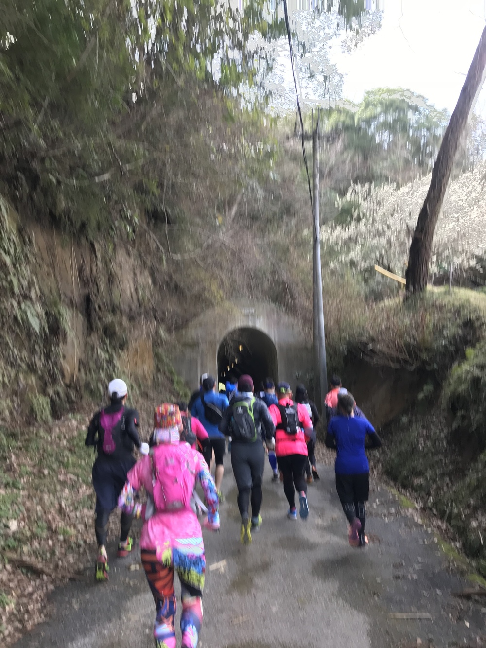 房総丘陵トレイルラン14kmコースの写真3