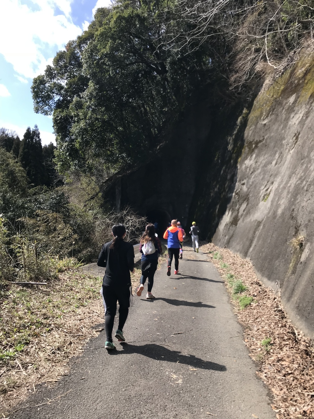 房総丘陵トレイルラン14kmコースの写真4