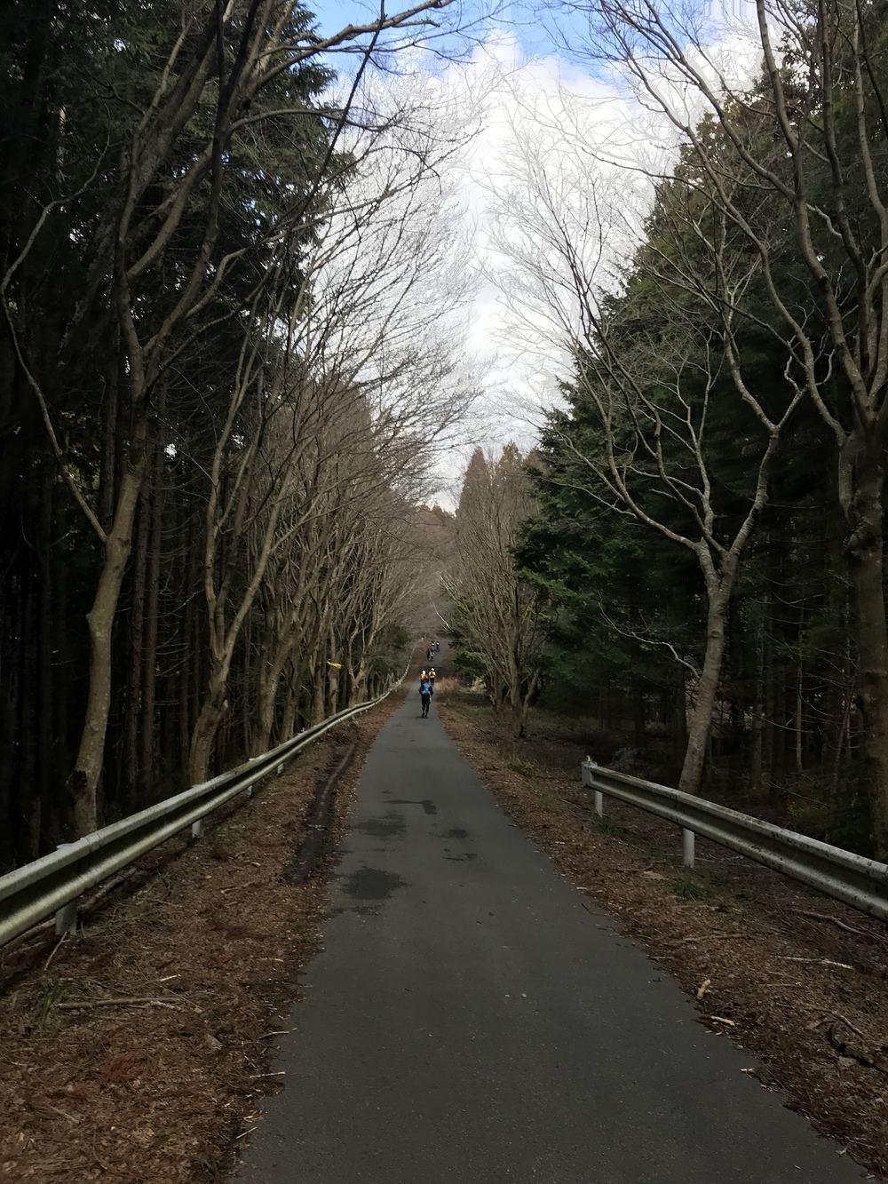 房総丘陵トレイルラン14kmコースの写真5