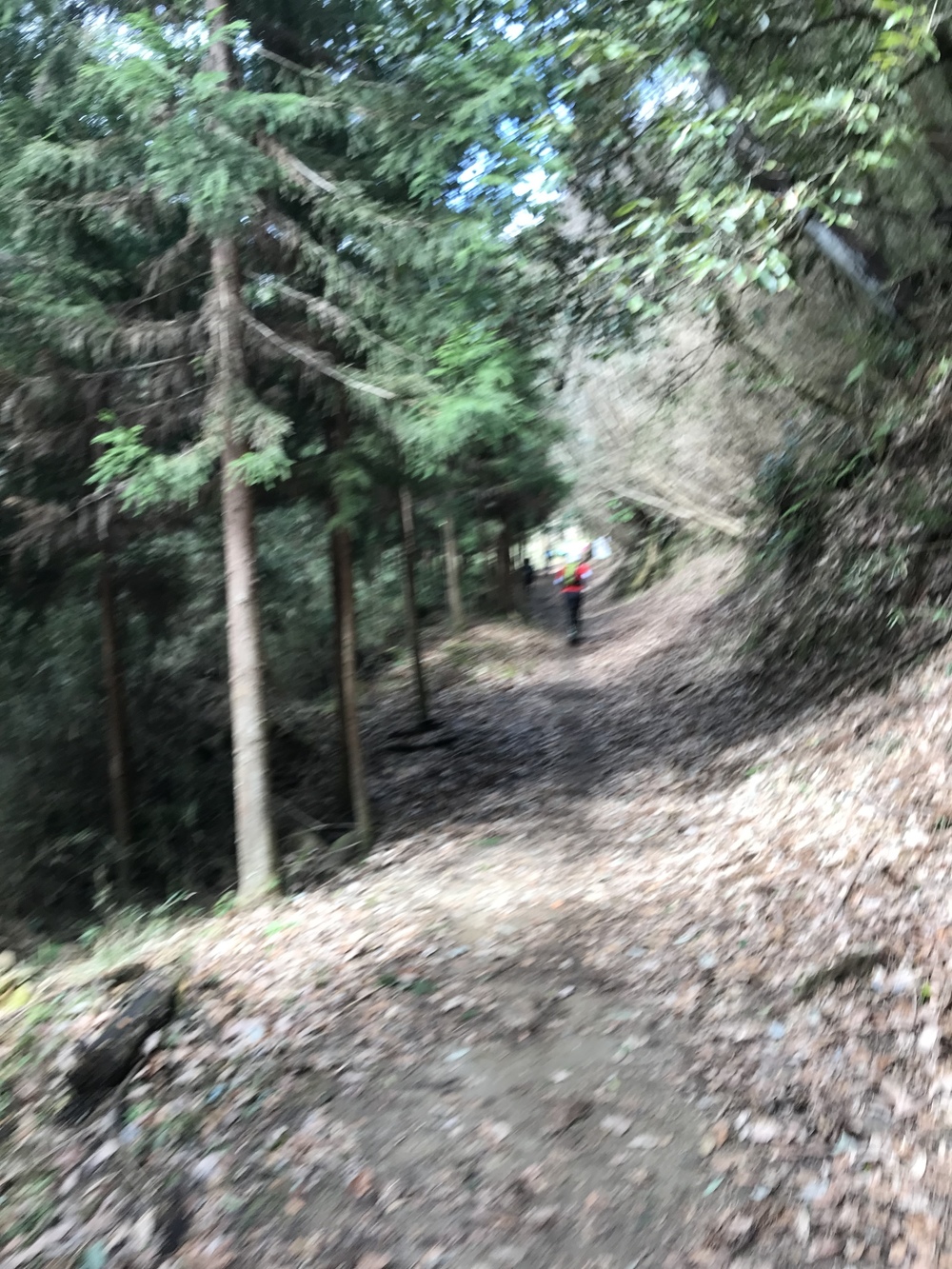 房総丘陵トレイルラン14kmコースの写真6