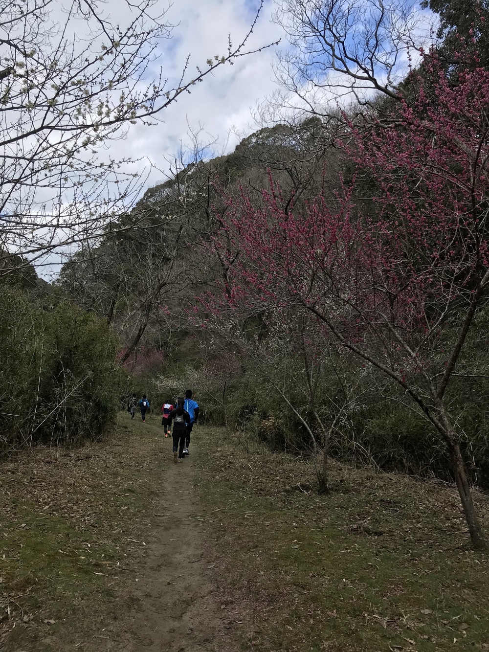 房総丘陵トレイルラン14kmコースの写真7