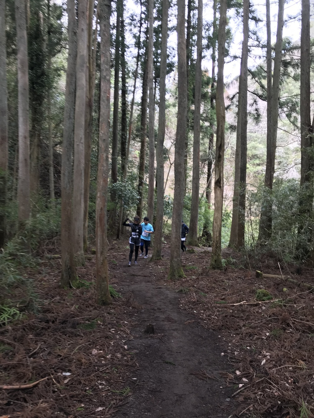 房総丘陵トレイルラン14kmコースの写真8