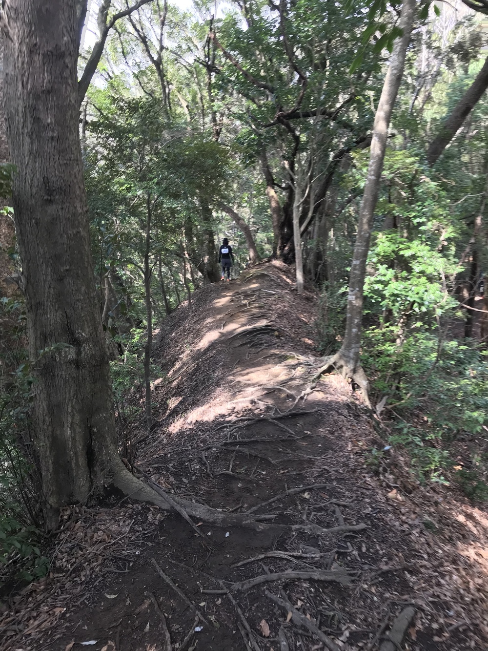 房総丘陵トレイルラン14kmコースの写真9