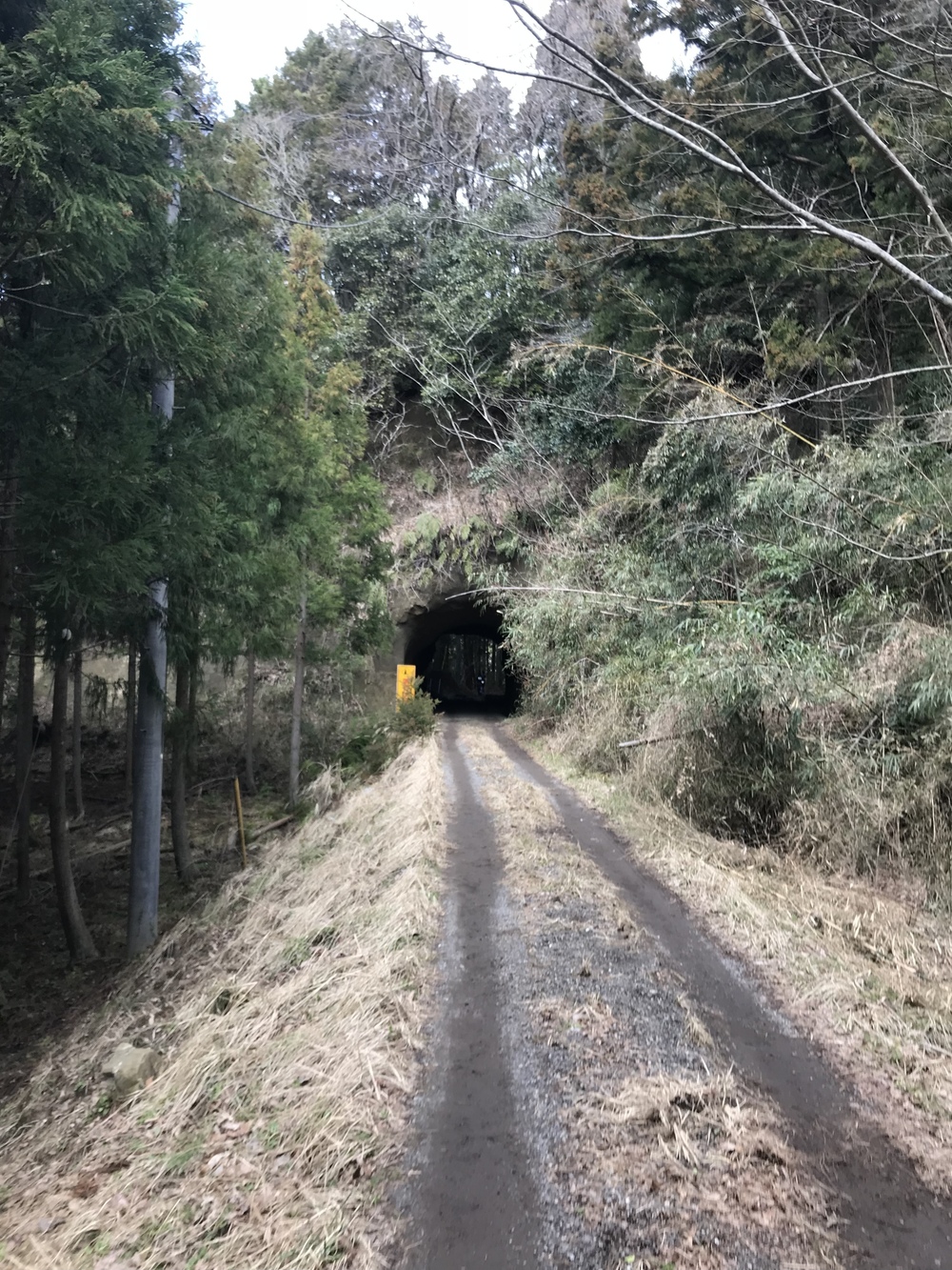 房総丘陵トレイルラン14kmコースの写真10