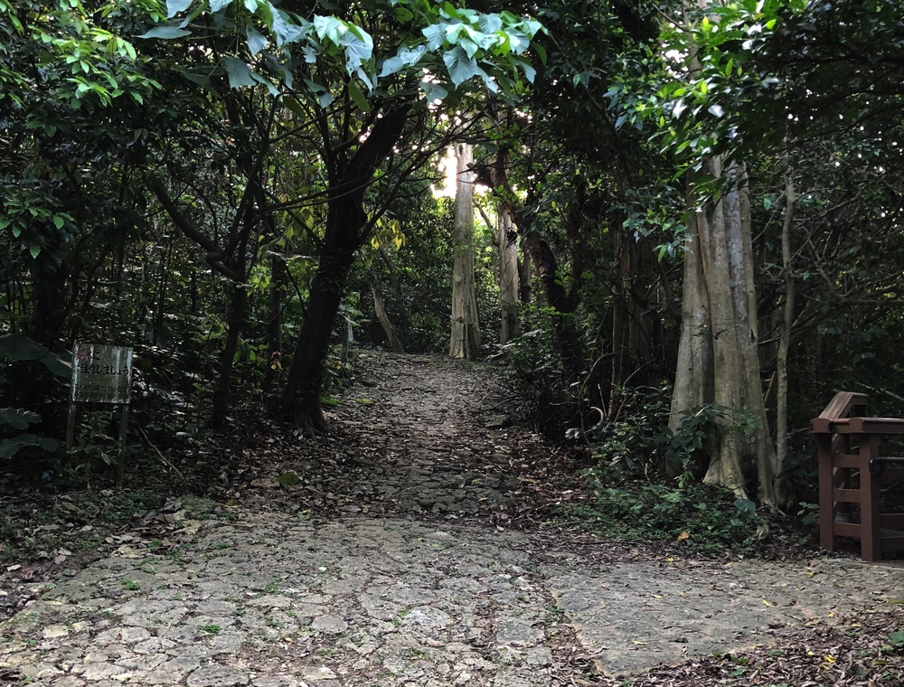 那覇の街中でトレイルを体験・末吉公園の写真6