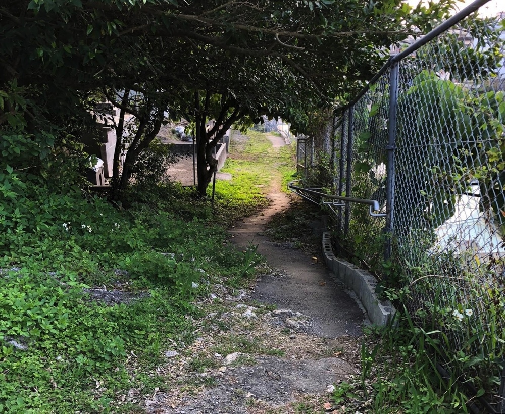 那覇の街中でトレイルを体験・末吉公園の写真7