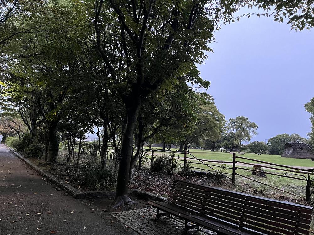 風と緑の出会いの道の写真3