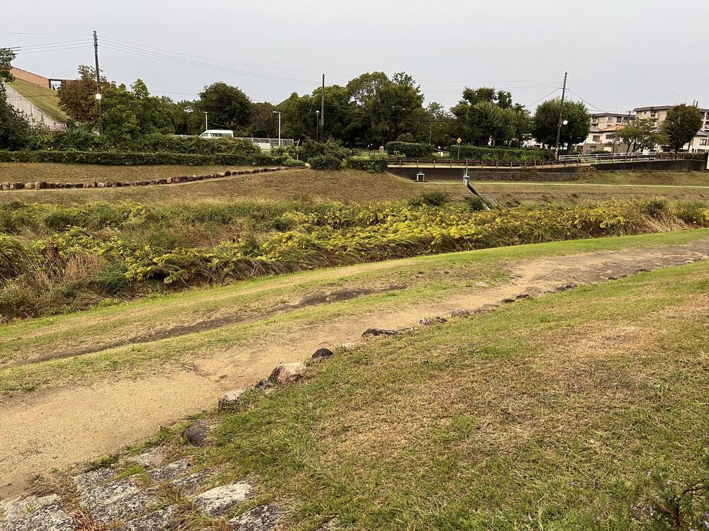 風と緑の出会いの道の写真6